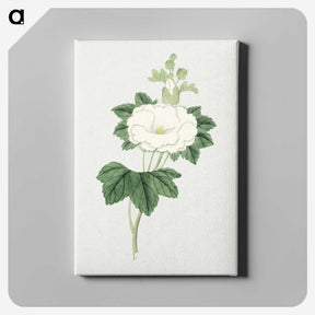 1-7_19th-Century-Japanese-Flowers_canvas