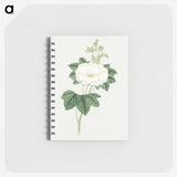 1-7_19th-Century-Japanese-Flowers_memo