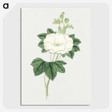 1-7_19th-Century-Japanese-Flowers_picture-crop