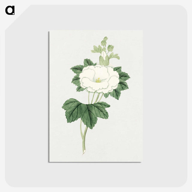 1-7_19th-Century-Japanese-Flowers_postcard