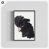 1-7_Aert-Schouman_blk-crop