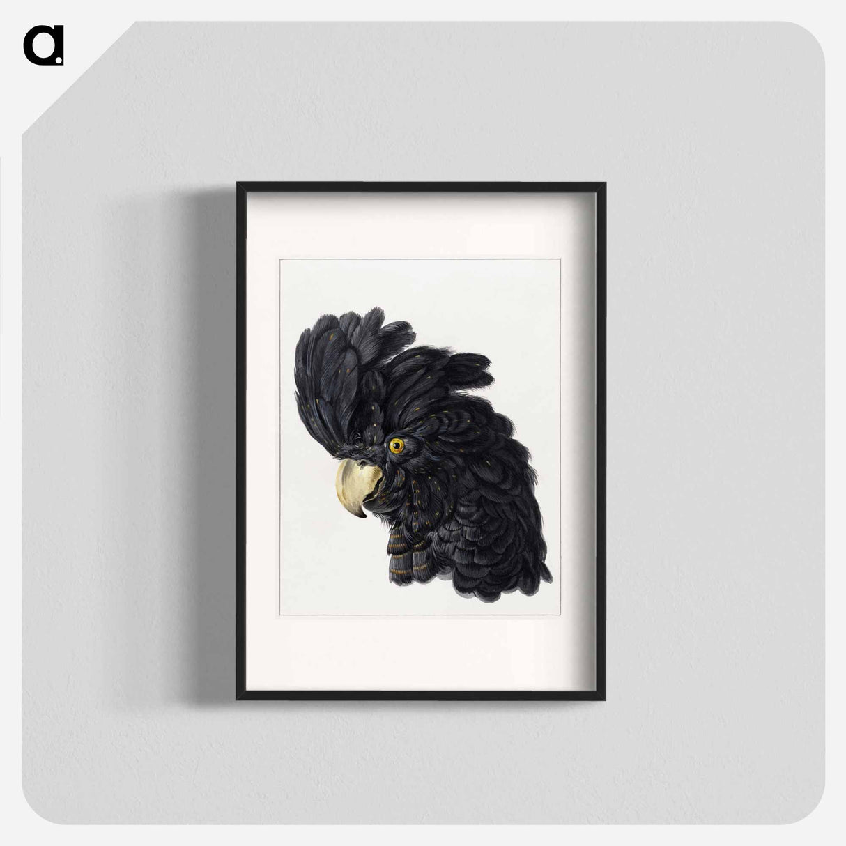 Head of a Cockatoo - アールト シューマン Poster.