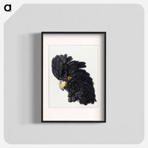 アートポスター-Head of a Cockatoo - アールト シューマン Poster.