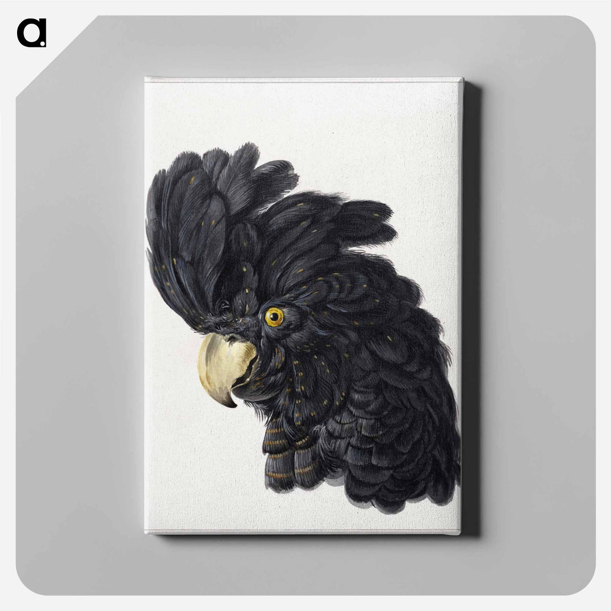 Head of a Cockatoo - アールト シューマン Canvas.