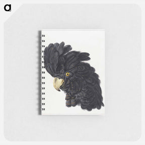 アートメモ帳-Head of a Cockatoo - アールト シューマン Memo.