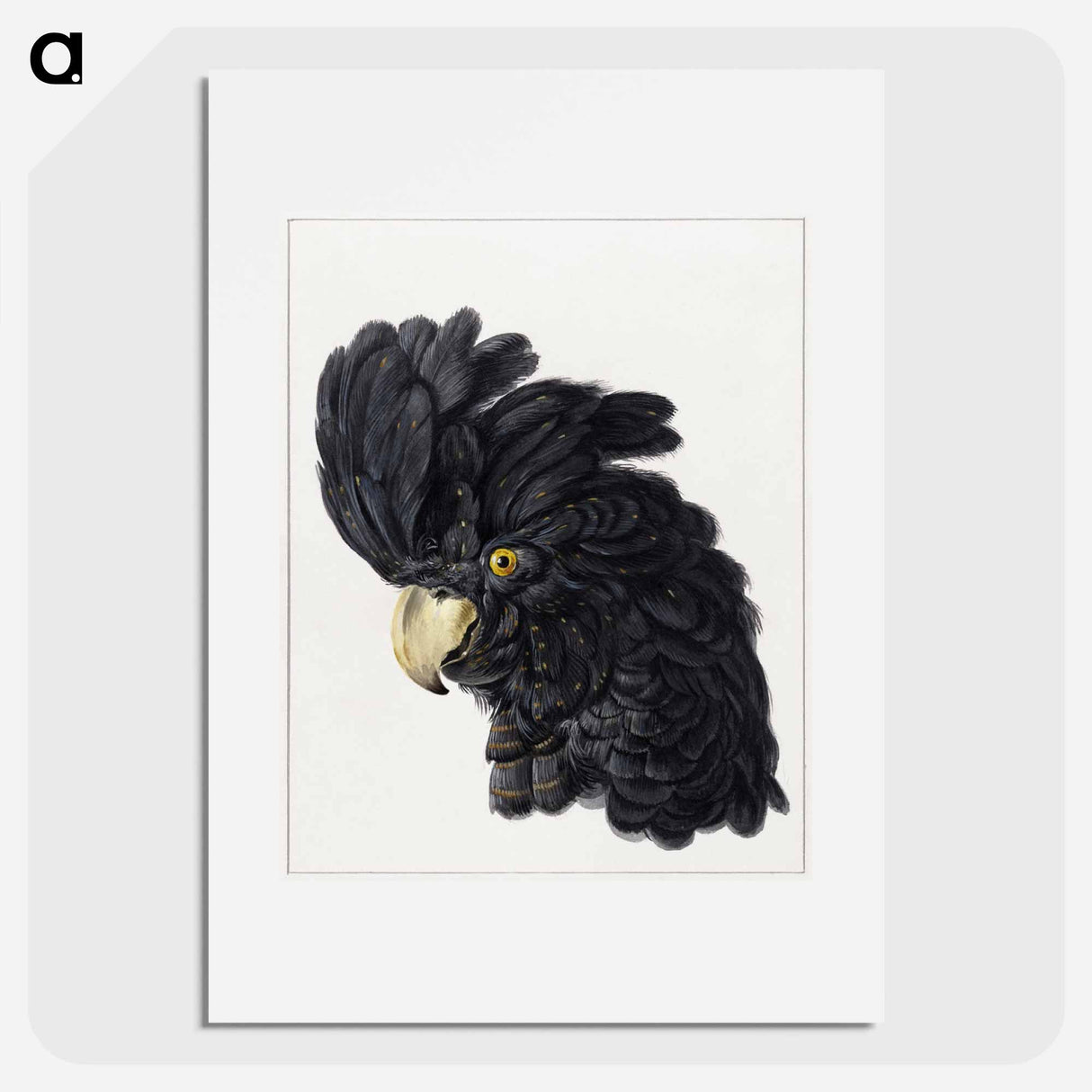 Head of a Cockatoo - アールト シューマン Poster.