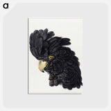 アートポストカード-Head of a Cockatoo - アールト シューマン Postcard.