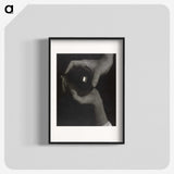 1-7_Alfred-Stieglitz_blk