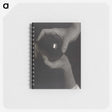 1-7_Alfred-Stieglitz_memo