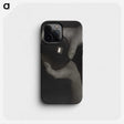 1-7_Alfred-Stieglitz_phone