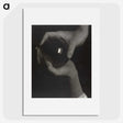 1-7_Alfred-Stieglitz_picture