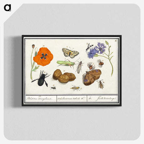 1-7_Anselmus-Boetius-de-Boodt_blk-crop