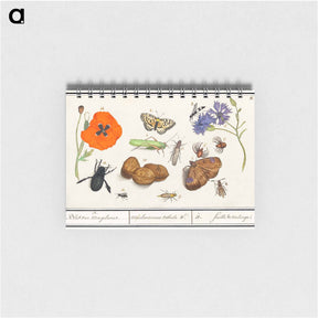 アートメモ帳-Natural History Ensemble, no. 11 - アンセルムス ボエティウス デ ブート Memo.