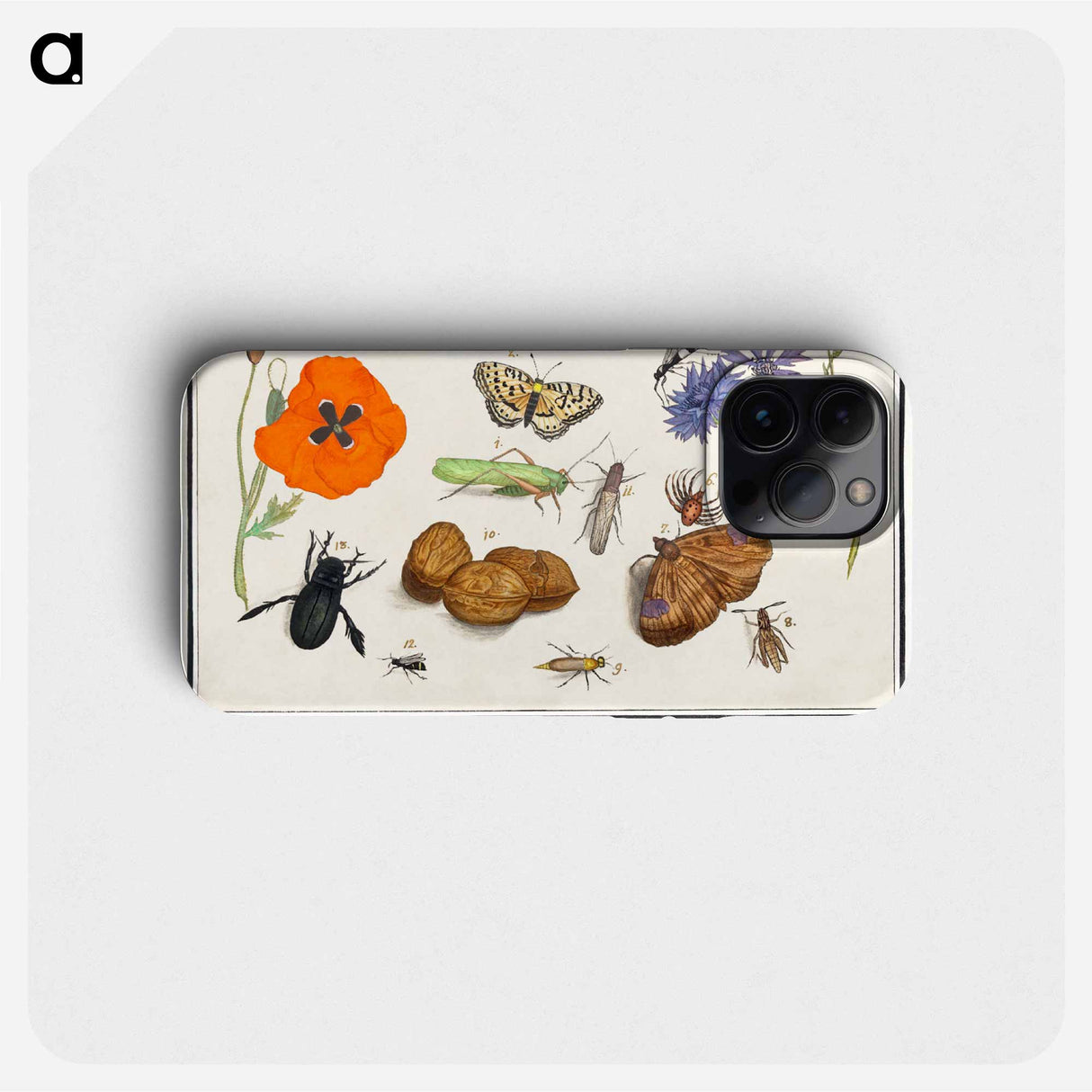 Natural History Ensemble, no. 11 - アンセルムス ボエティウス デ ブート Phone Case.