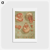 1-7_Arnauld-Eloi-Gautier-Dagoty_hagaki