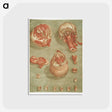 1-7_Arnauld-Eloi-Gautier-Dagoty_postcard