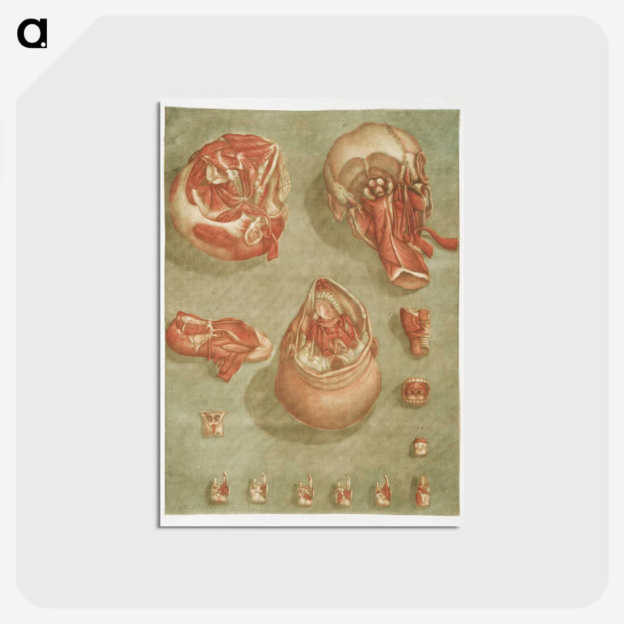 1-7_Arnauld-Eloi-Gautier-Dagoty_postcard
