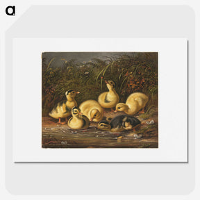 1-7_Arthur-Fitzwilliam-Tait_picture