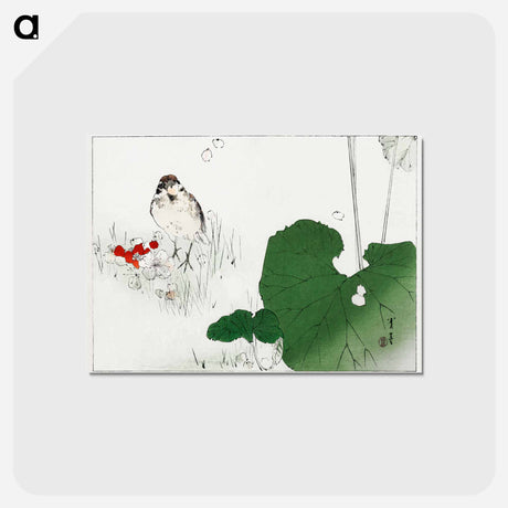 アートポストカード-Eurasian Tree Sparrow
 - 美術世界 Postcard.