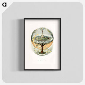 アートポスター-Yggdrasill, the Mundane Tree
 - ボストン公共図書館 Poster.