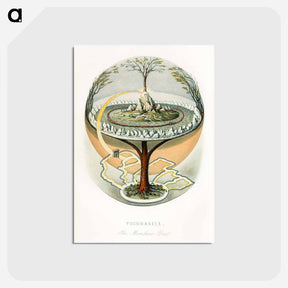 アートポストカード-Yggdrasill, the Mundane Tree
 - ボストン公共図書館 Postcard.