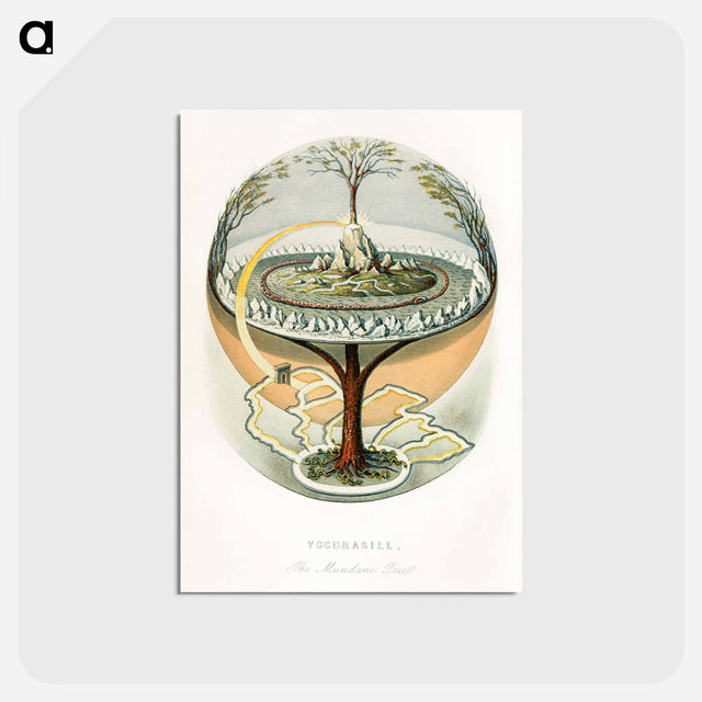 アートポストカード-Yggdrasill, the Mundane Tree
 - ボストン公共図書館 Postcard.