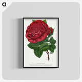1-7_Botanical-Specimen-Plates_blk-crop
