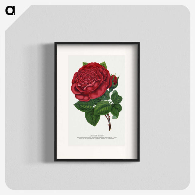 1-7_Botanical-Specimen-Plates_blk