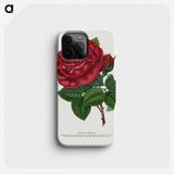 1-7_Botanical-Specimen-Plates_phone