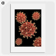 1-7_COVID-19_picture