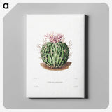 1-7_Charles-Antoine-Lemaire_canvas
