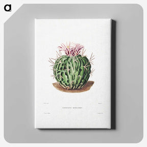 1-7_Charles-Antoine-Lemaire_canvas