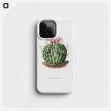 1-7_Charles-Antoine-Lemaire_phone