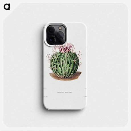 1-7_Charles-Antoine-Lemaire_phone