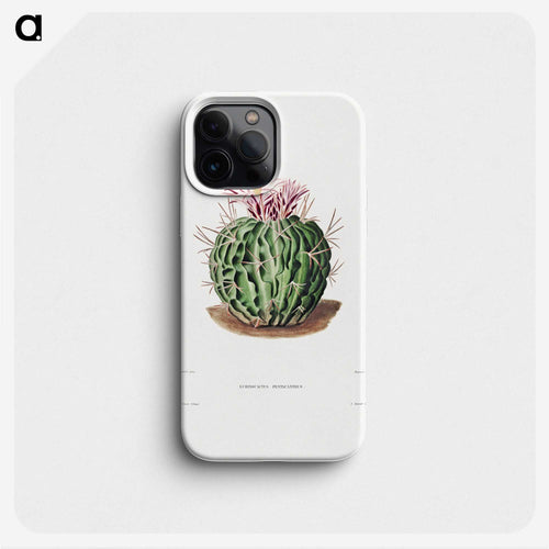 エキノカクタス・ペンタカントゥス - シャルル アントワーヌ ルメール Phone Case.