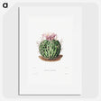 1-7_Charles-Antoine-Lemaire_picture