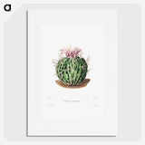 1-7_Charles-Antoine-Lemaire_picture