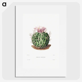 1-7_Charles-Antoine-Lemaire_picture