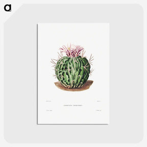 1-7_Charles-Antoine-Lemaire_postcard