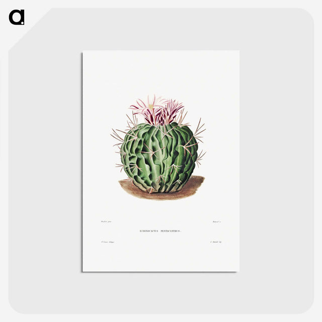1-7_Charles-Antoine-Lemaire_postcard
