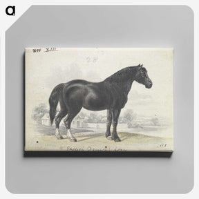 1-7_Charles-Hamilton-Smith_canvas