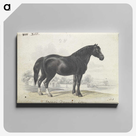 1-7_Charles-Hamilton-Smith_canvas