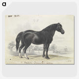 1-7_Charles-Hamilton-Smith_picture-crop