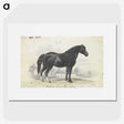 1-7_Charles-Hamilton-Smith_picture