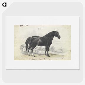 1-7_Charles-Hamilton-Smith_picture