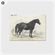 1-7_Charles-Hamilton-Smith_postcard