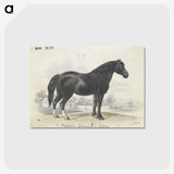 1-7_Charles-Hamilton-Smith_postcard