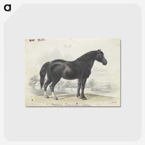 1-7_Charles-Hamilton-Smith_postcard