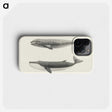 1-7_Charles-Melville-Scammon_phone