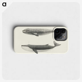 1-7_Charles-Melville-Scammon_phone